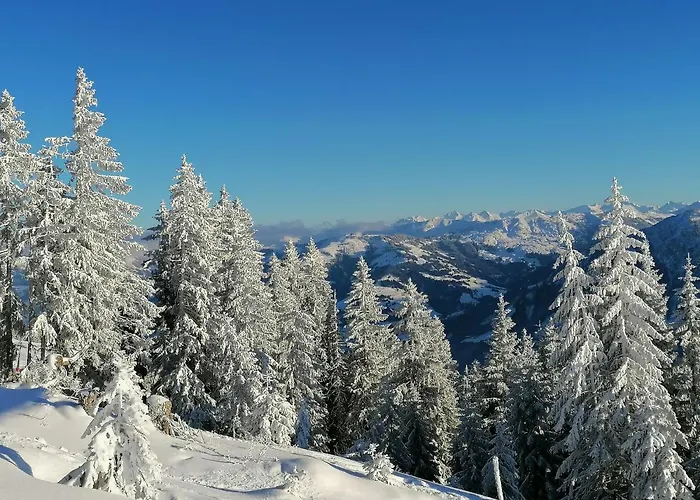 Farnreit