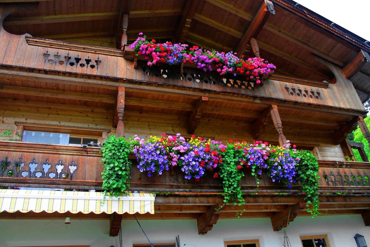 Appartement Farnreit *