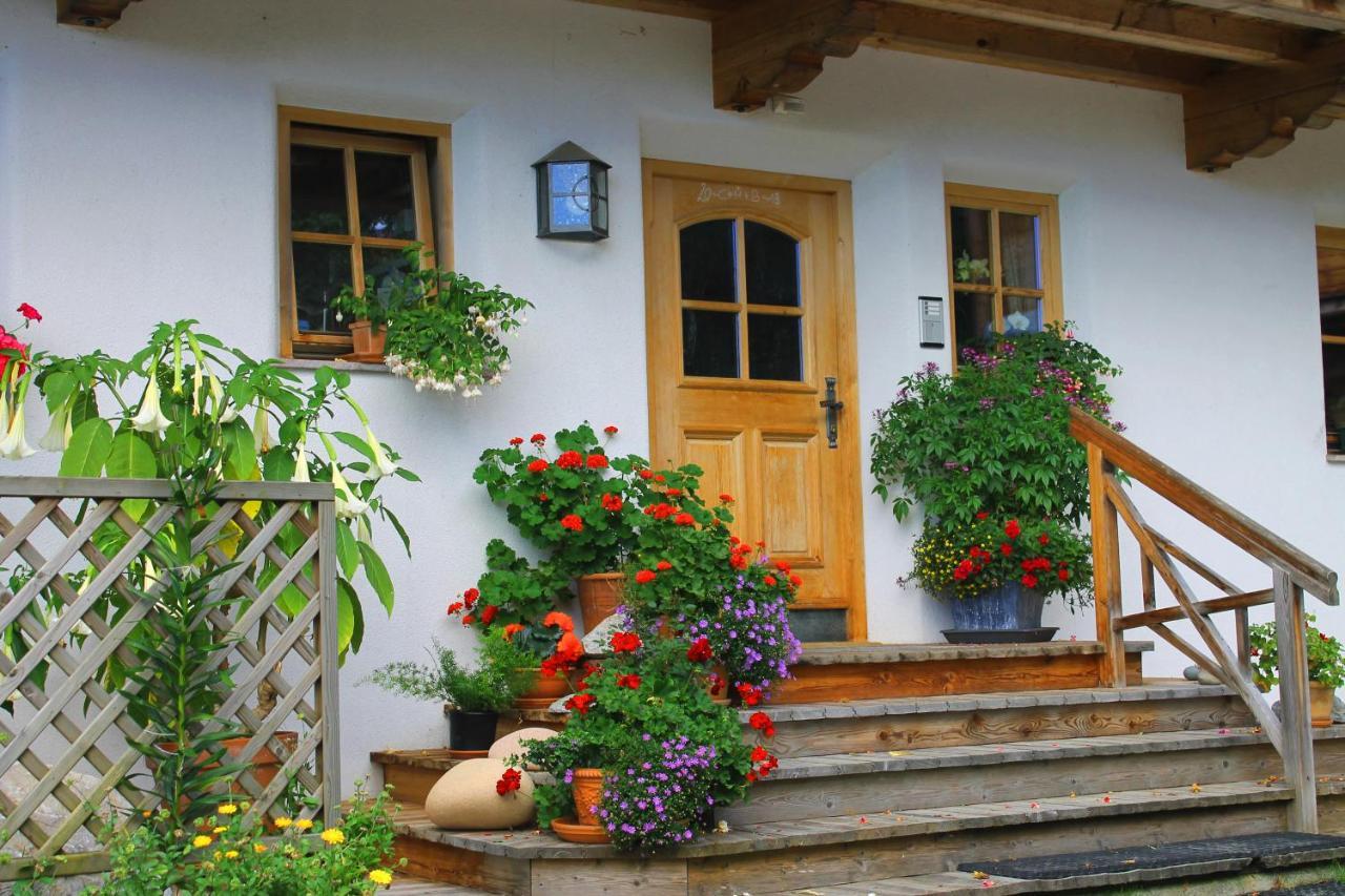 Farnreit * Brixen im Thale
